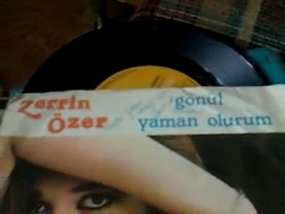 zerrin özer gönül