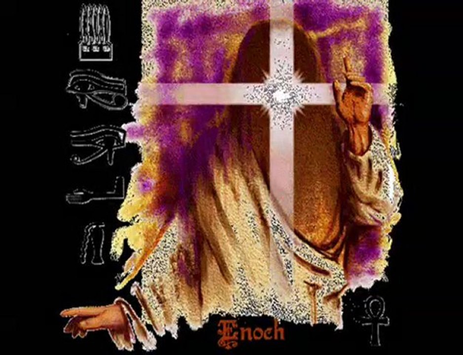 Reptilian Body Snatchas