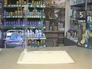 How To Set Up A Coldwater Fish Tank