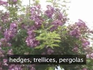 An Introduction To Cottage Gardens