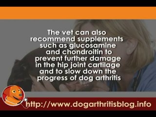 Genetic Disorders: Dog Hip Dysplasia