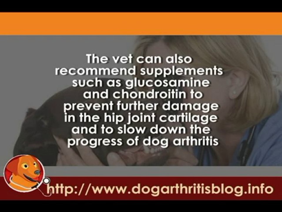 Genetic Disorders: Dog Hip Dysplasia