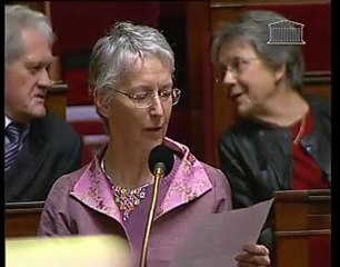 Nuisances aériennes- Question d'Anny Poursinoff 22 dec 2010