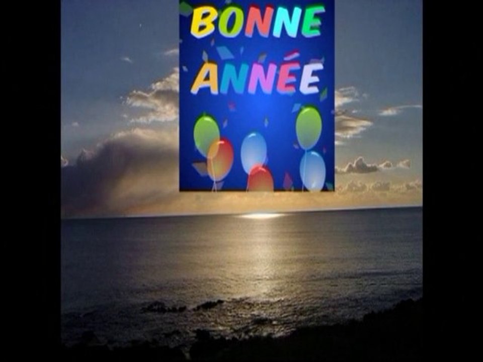 Bonne fête de fin d'année et bonne année 2011