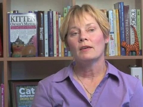 Traveling And Vacations With Cats : What is the best way to feed my cat when I go on vacation?