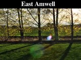 Tree Trimming-Pruning Service | East & West Amwell-Lawrence