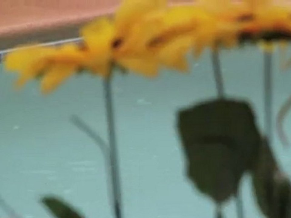 Las Vegas Meteo Flash