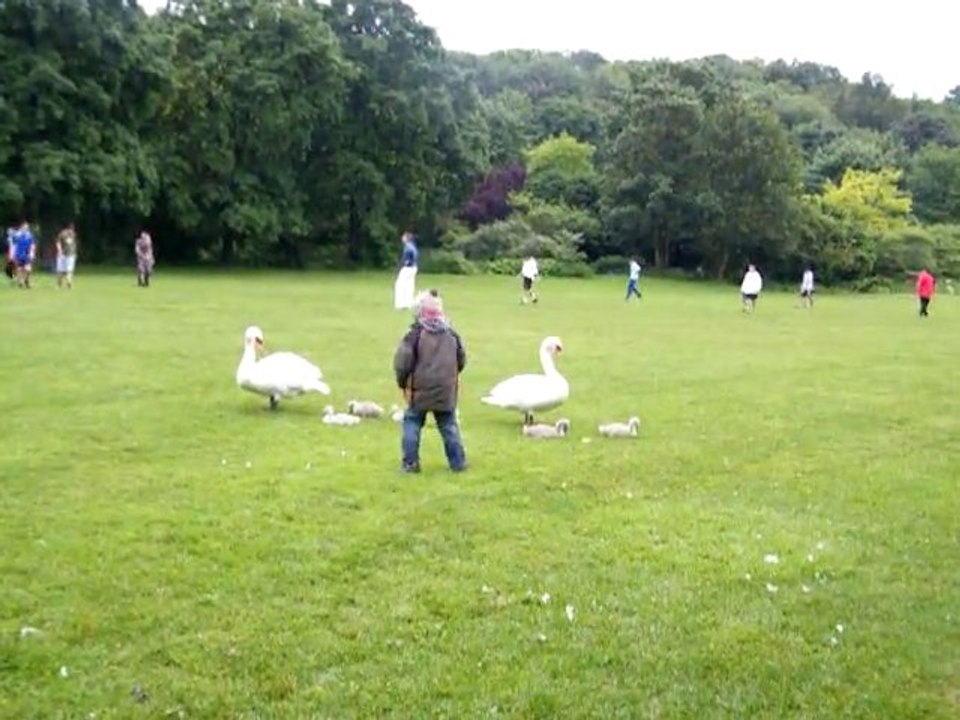 mohamed bei westpark