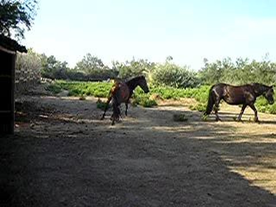 PB130001