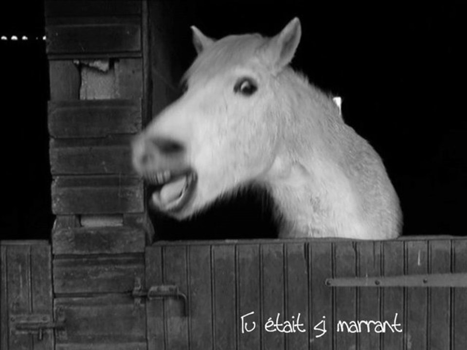 C'est l'histoire d'un beau cheval blanc.. ;$♥