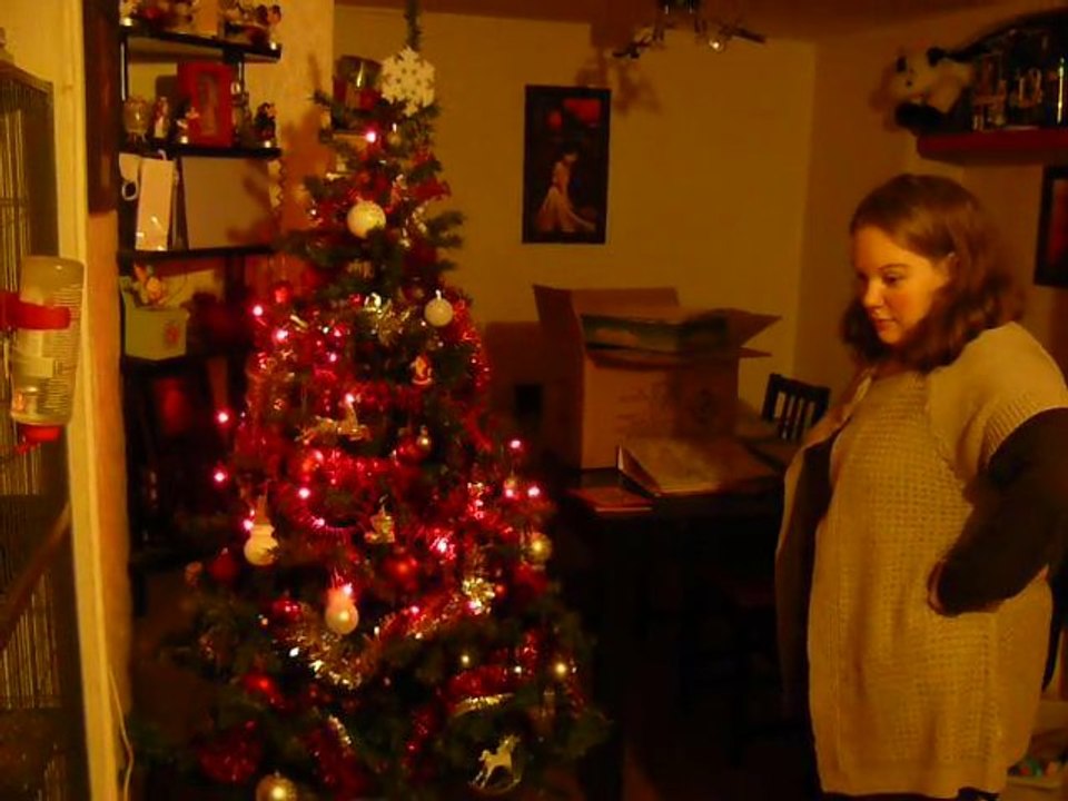 Stan et le sapin de noyel