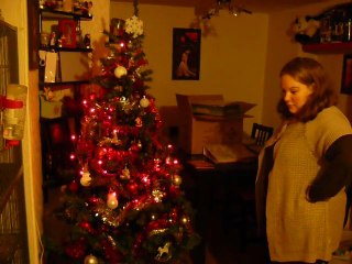 Stan et le sapin de noyel