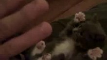 15 секунд и ты улыбаешься=)))