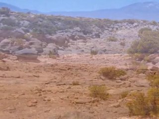 MUSICA PUEBLOS ORIGINARIOS - El Altiplano ( Chile )