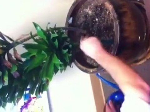 Commercial Real Estate Las Vegas