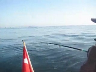 F. Ozkan Levrekci Yayıncı - 22-12 F