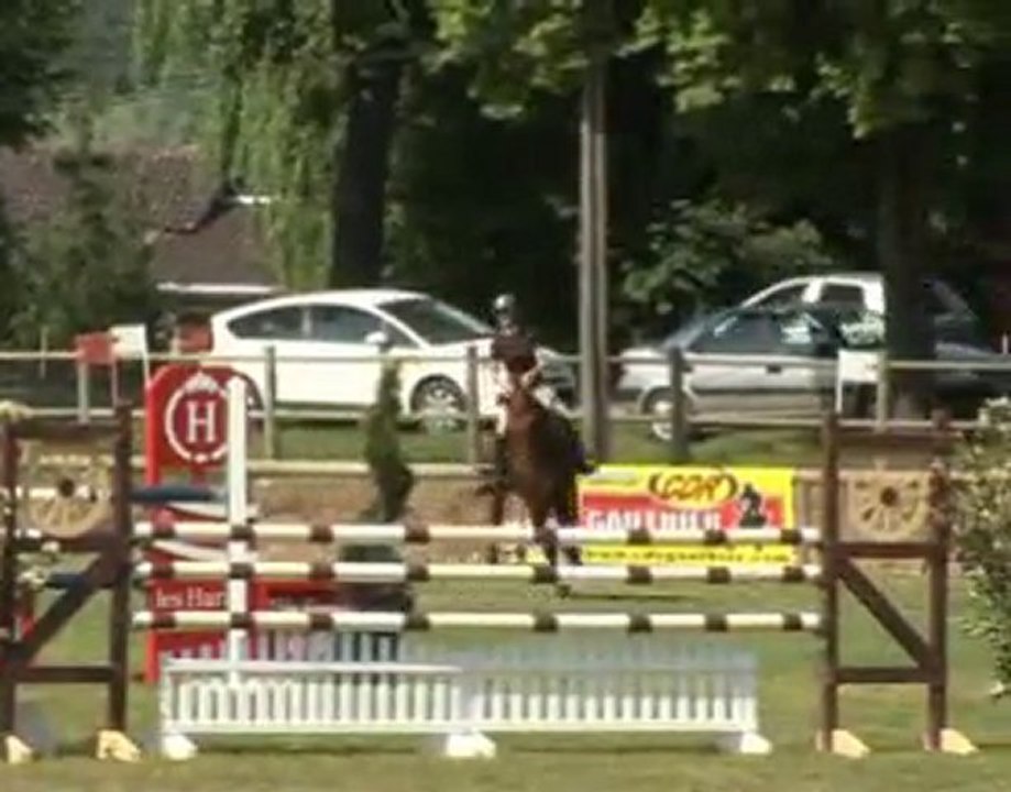 Cheval hongrel hongre bai 7 ans par Lando (WWW.EQUIRODI.COM)