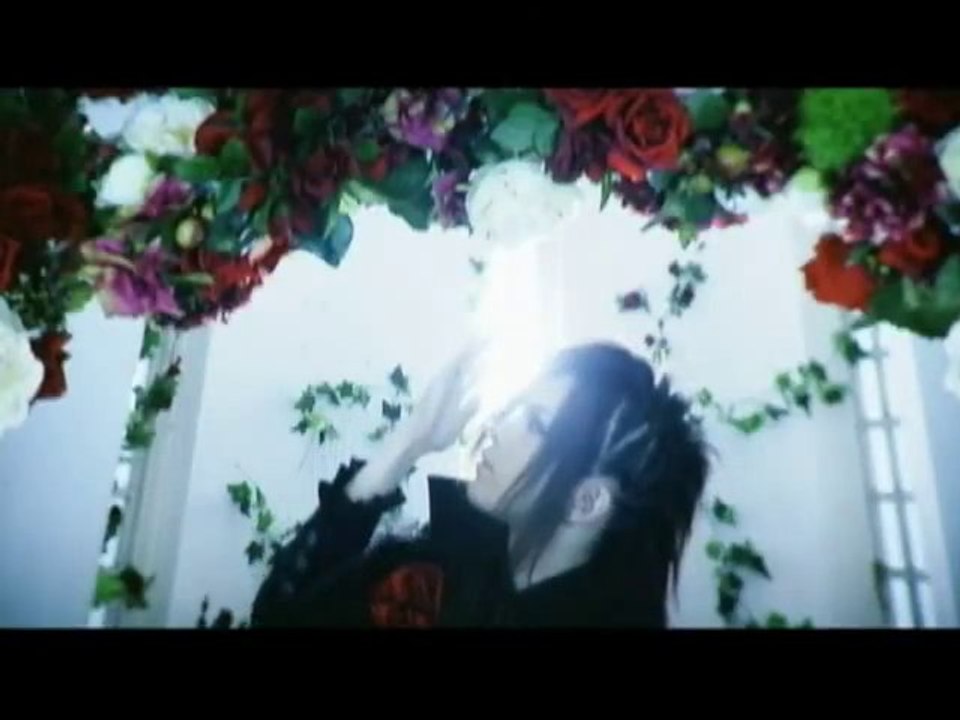 D - 7th Rose