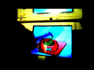 Dora l'Exploratrice DS Josiane Maël