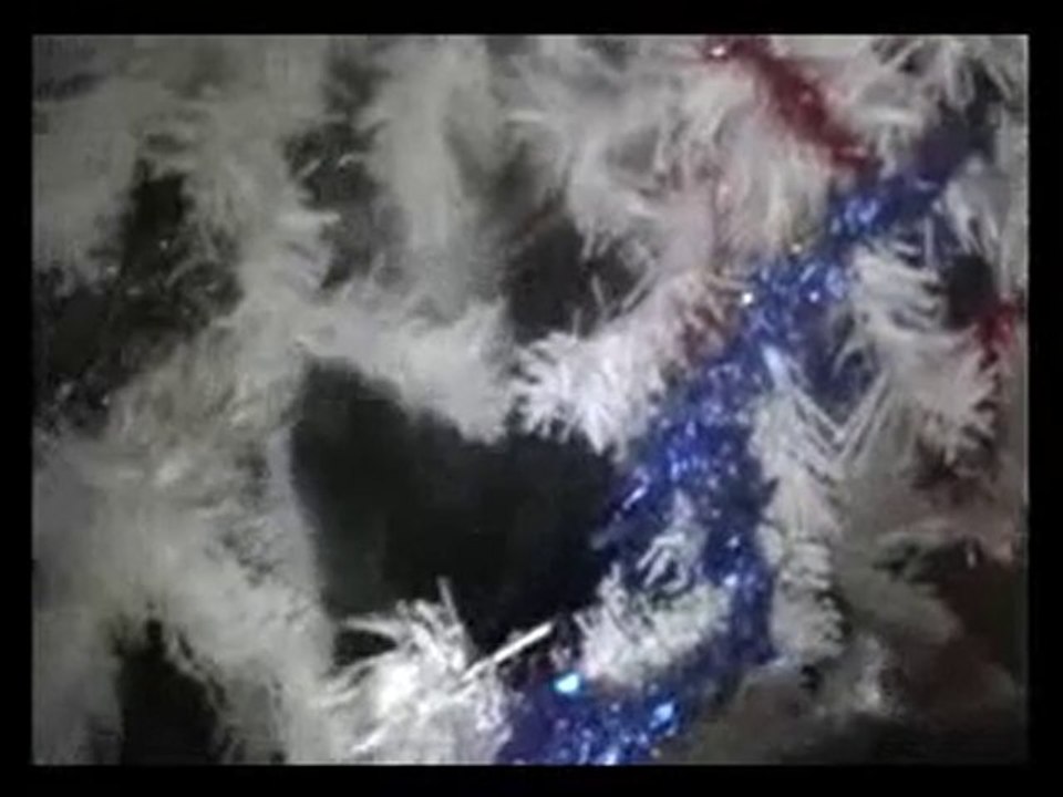 Déco du sapin de noel façon chat ...