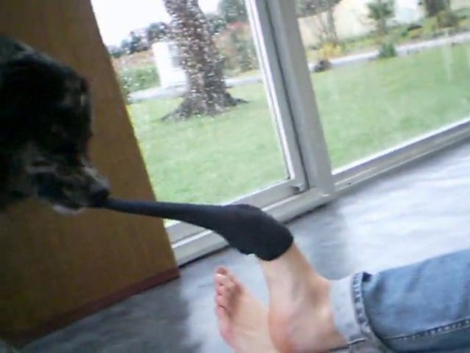 tricks