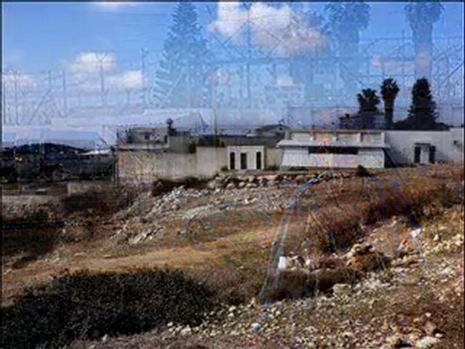 הכרמל בירוק-שחור