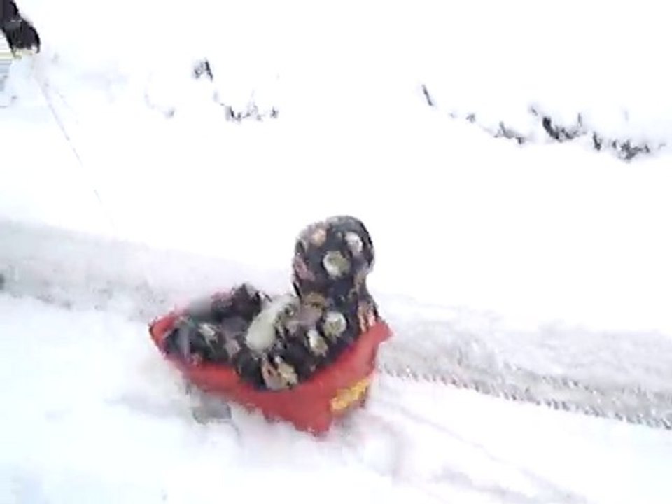 neige 24/12