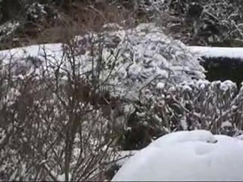 Noël 2010 en Thiérache