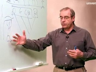 La bipédie par Picq 8min