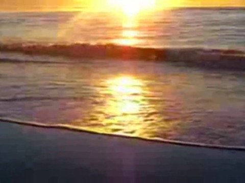 Bên Trời Phiêu Lãng-Thơ: Hoàng Ngọc Ẩn - Nhạc: Phạm Đình Chư