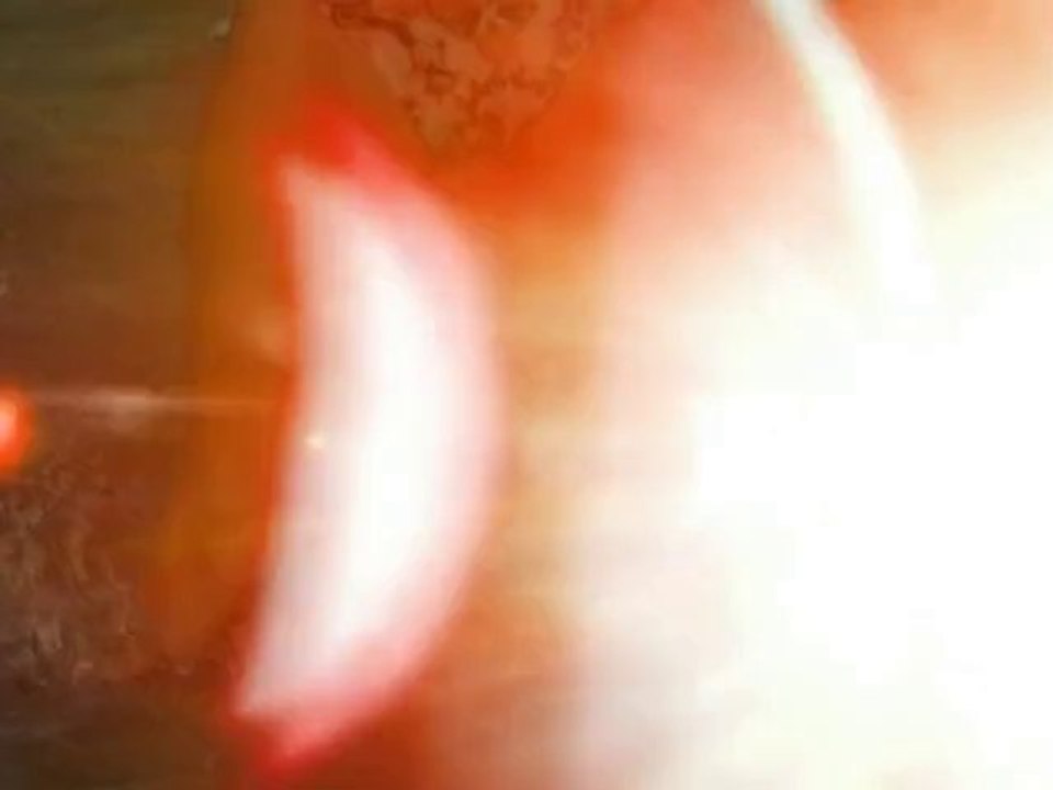 Paris im Bikini auf Hawaii