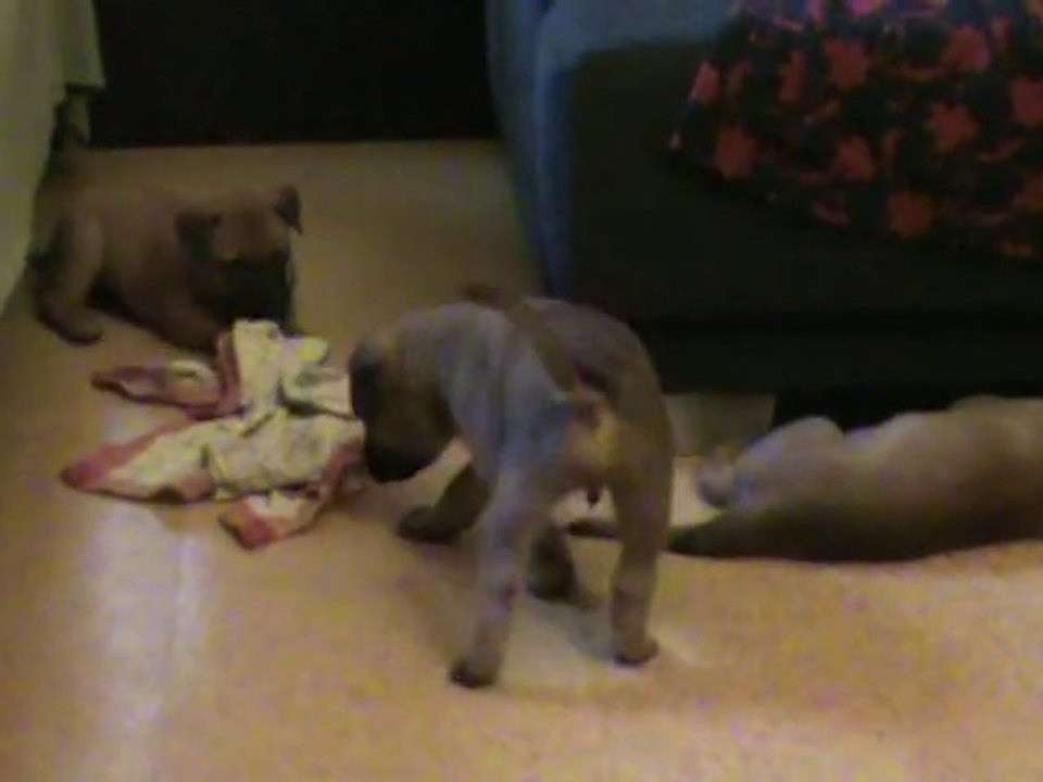 Be Aware C's- 4 Wochen