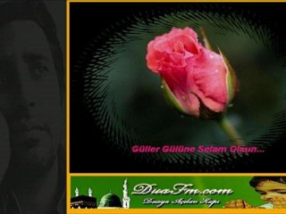 Can Muhammed Mustafadır