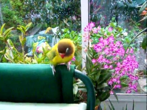 encore des bêtises à faire