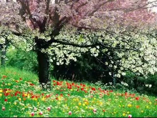 YENİDEN YARAT KENDİNİ-Şiir-Yorum Müjgan aksular