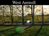 Tree Removal-Trimming Service | East & West Amwell-Lawrence