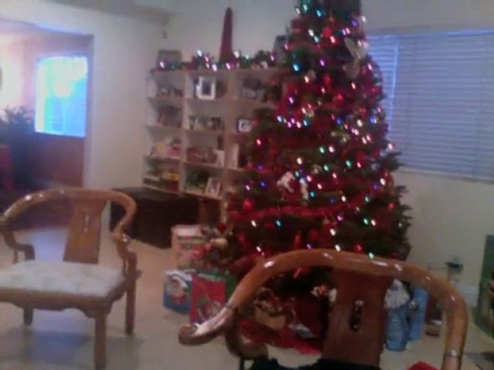 Merry Christmas from LA!