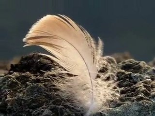 Les tours de Saint-Malo Anne Vanderlove