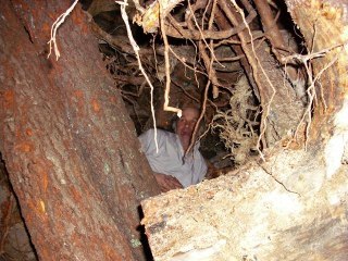 Vídeo Fogueira de Natal