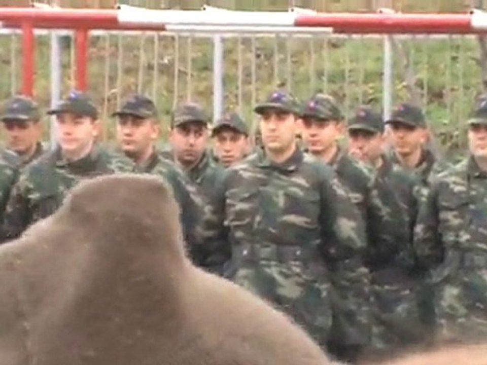 M2U00098