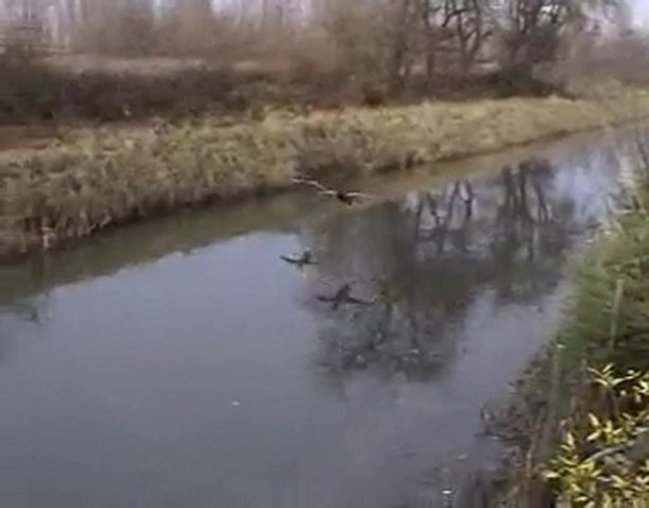 Ca glisse un max !
