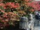 Des paysages japonais. Le printemps et  L'automne.