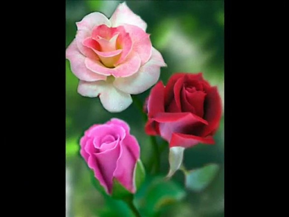 Ferhat Akın - Peşime düştü gelinler kızlar