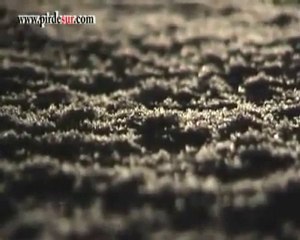 ZEYNEP KILIC - EY DîLBERÊ