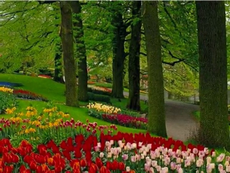 Kazım ve sevval sam ben seni sevdigimi dünyalara bildirdim