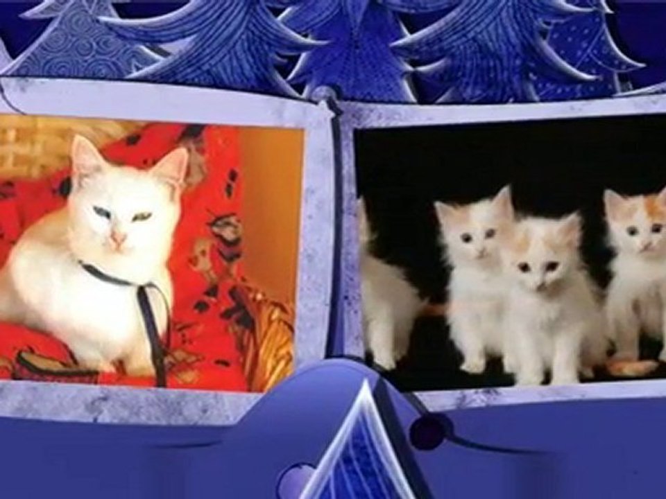 Cristi Nuca si Di Giano -Vrei sa pari fata cuminte