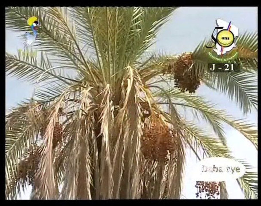 DABALAYE FRANÇAIS  DU 26/12/2010PART III  PAR TCHADONLINE TV