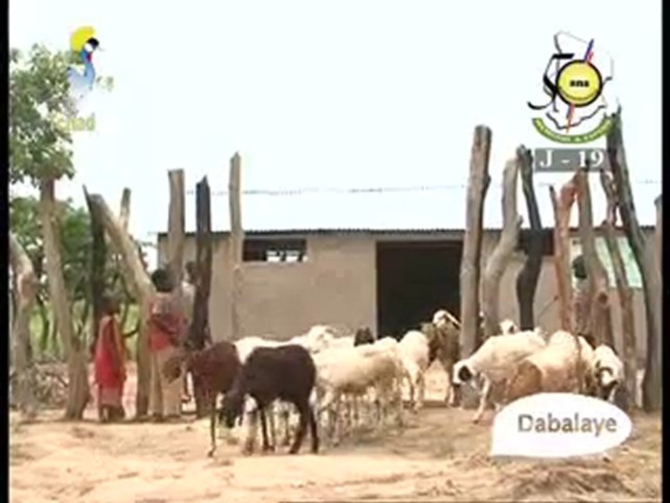 DABALAYE FRANÇAIS  DU 26/12/2010PART I  PAR TCHADONLINE TV