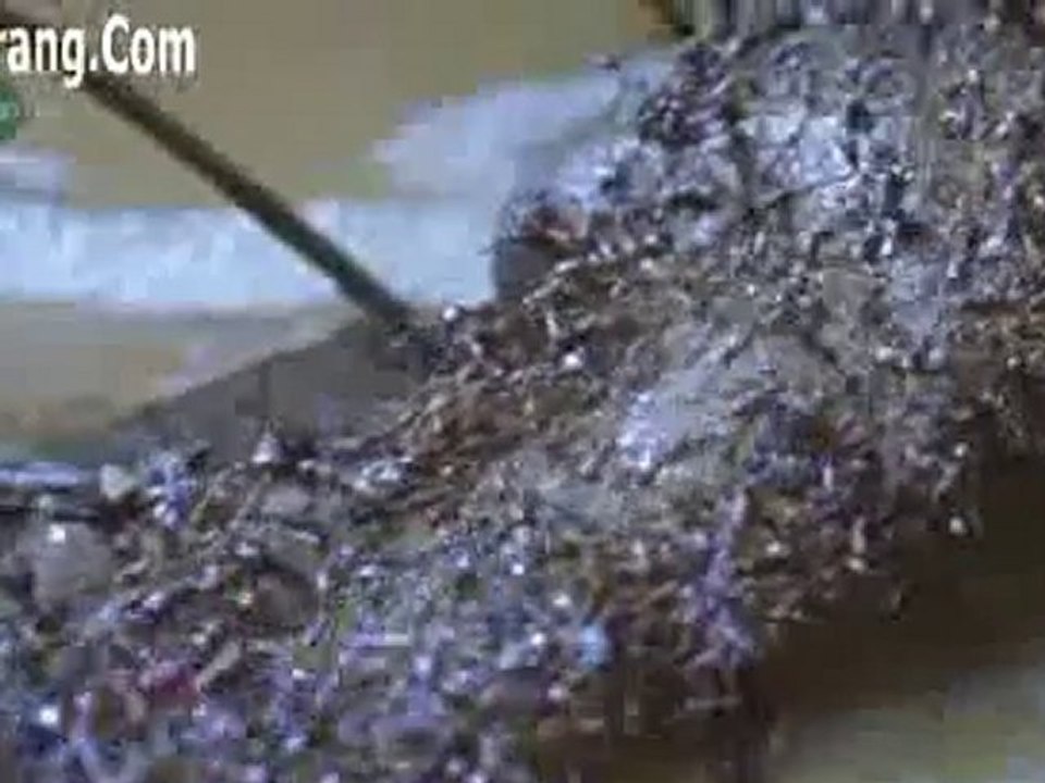 ANT ATTACK Part 2 Amaziing Documentry Punjabrang.com