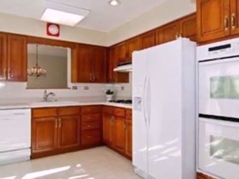 Homes for Sale - 3723 Maple Leaf Dr - Glenview, IL 60026 - Coldwell Banker